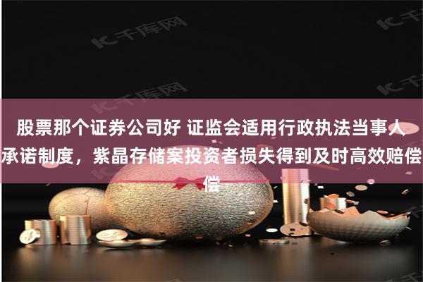 股票那个证券公司好 证监会适用行政执法当事人承诺制度，紫晶存储案投资者损失得到及时高效赔偿