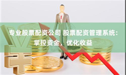 专业股票配资公司 股票配资管理系统：掌控资金，优化收益