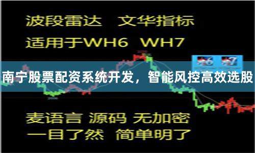 南宁股票配资系统开发，智能风控高效选股